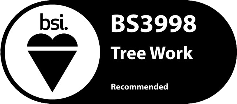 Tree-Work Logo