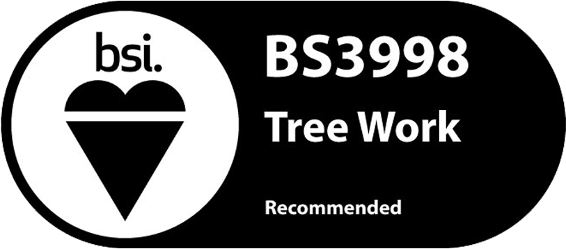 BS3998 Tree Work Guildford